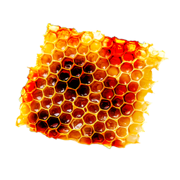 Dirty Honey item for the FiveM beekeeping script