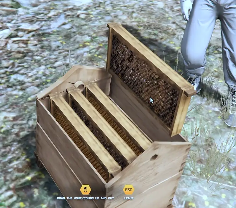 Harvesting full honeycombs from a FiveM beehive